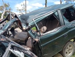 Datang Ke Kebun Durian Milik Sendiri, Tiga Penumpang Tewas Tertimpa Pohon