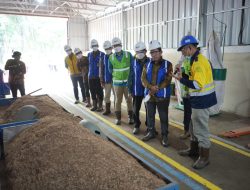 Kembangkan Biomassa dari Kaliandra Merah, Bukit Asam PTBA Bangun Pilot Plant Wood Pellet