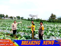 Kapolsek Semendo dan Jajaran Dorong Ketahanan Pangan Desa Gunung Agung