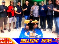 Pengedar Ganja 1,8 Kg Diciduk Team Tarantula Polsek Rambang Dangku.
