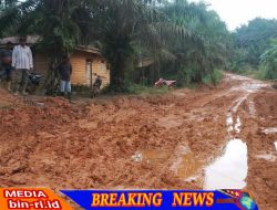 Masyarakat Pujud Kabupaten Rokan Hilir Desak Perbaikan Jalan Rusak Parah