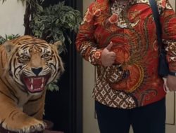 Ketum MPG Jimmy S : “Ide Presiden Prabowo Subianto Untuk Maafkan Koruptor Jangan Dipolitisir  Jakarta”
