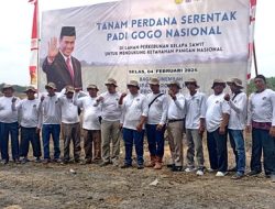 Apkasindo Rohil Gelar Tanam Padi Gogo Serentak untuk Dukung Ketahanan Pangan Nasional