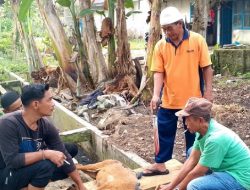 Sambut Ramadhan, Anggota KOTI MPC-PP Rohil Gelar Makan Bersama