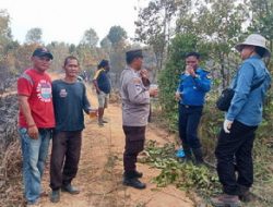 Warga Telaga Rindu Apresiasi Kesigapan Petugas dalam Pemadaman kebakaran Hutan di Kabil – Nongsa