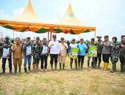 Wabup Rohil Tinjau Kilang Padi di Rokan Baru, Dorong Revitalisasi dan Penguatan Sektor Pertanian
