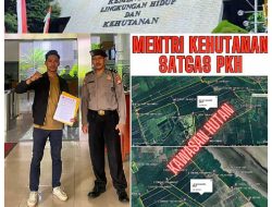 GARMASI ROHIL Desak Satgas PKH Sita Lahan Kawasan Hutan di Sungai Daun dan Kubu yang Diduga Dikuasai Secara Ilegal oleh Mafia Lahan