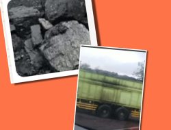Pernyataan Resmi PTBA Terkait Jalur Hauling Batubara