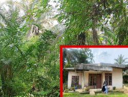 Lahan HGB PTPN IV Terbengkalai di Bagan Batu Barat, Pemdes Ajukan Pemanfaatan untuk Kantor Sementara