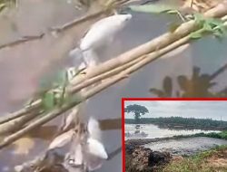 Humas PT IIS Menghindar Saat Dimintai Konfirmasi Dugaan Pencemaran Limbah Sungai Pengabuan