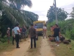 Sengketa Lahan di Cindur Desa Torganda Memanas, Kelompok Tani Tiur Ganda Klaim Pihak yang Sah Ajukan Kemitraan ke PT Torganda