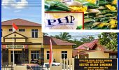 Beras SPHP 5 Kg Dijual Rp63 Ribu di Polsek Bagan Sinembah