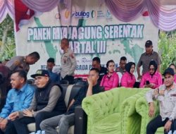 Panen Raya Jagung Serentak Kuartal III THN 2025 di Desa Rantau Benar