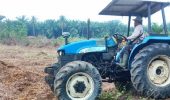 PT SIA Dorong Ketahanan Pangan melalui Program Pembersihan Lahan