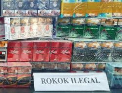 Purbaya Bentuk Satgas Basmi Peredaran Rokok Ilegal: Rokan Hilir Jadi Titik Panas
