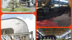 PTBA Perkuat Langkah Menuju Energi Bersih Lewat Uji Coba Co-Firing Wood Pellet di PLTU Tanjung Enim