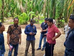 PN Ujung Tanjung Gelar Sidang Lapangan Sengketa Lahan di Bagan Sinembah