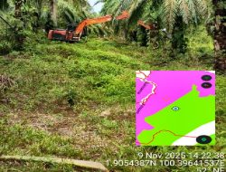 Excavator Masuk Kawasan Hutan Negara, Aktivis Minta Penegakan Hukum Tegas