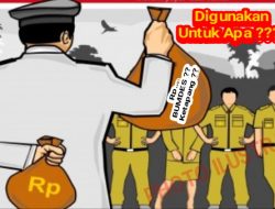 Data Pengelolaan Ketapang dan BUMDes Kepenghuluan Tangga Batu Tidak Sinkron, Integritas Kepenghuluan Dipertanyakan