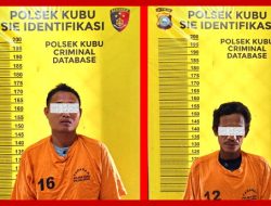 Polsek Kubu Ungkap Kasus Pencurian Sawit Milik PT Jatim Jaya Perkasa