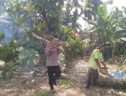 Polsek TPTM dan Warga Labuhan Papan Gotong Royong Tebang Pohon Berpotensi Tumbang