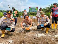 Perkuat Ketahanan Pangan, Polsek Pujud dan Stakeholder Tanam Jagung di Tanjung Medan