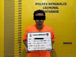 Polres Bengkalis Ungkap Kasus Illegal Logging di Siak Kecil, Satu Pelaku Diamankan