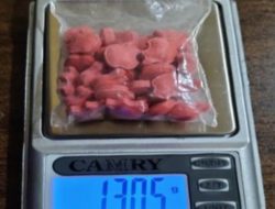 Polres Muara Enim Ungkap Kasus Narkotika, Satu Pemuda Diamankan di Muara Lawai