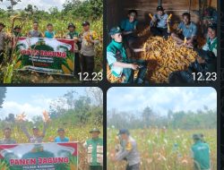 Polsek Rambang Hadiri Panen Jagung Program Ketahanan Pangan di Desa Sugihan