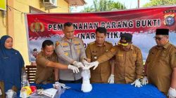 Polsek Pujud Musnahkan Puluhan Gram Narkotika Jenis Sabu