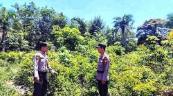 Patroli Karhutla, Polsek Tanah Putih Tingkatkan Pengawasan Wilayah Rawan Kebakaran