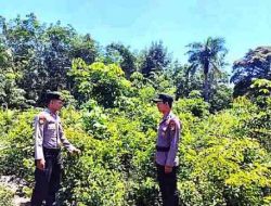 Patroli Karhutla, Polsek Tanah Putih Tingkatkan Pengawasan Wilayah Rawan Kebakaran