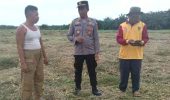 Polsek TPTM Kembangkan Lahan Jagung 10 Hektare, Dorong Ketahanan Pangan Lokal