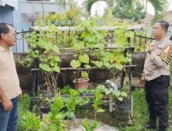 Bhabinkamtibmas Dampingi Warga Dumai Kota Kembangkan Pekarangan Pangan Bergizi