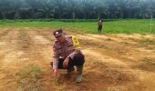 Polsek Pujud Pantau Program Ketahanan Pangan Tanaman Jagung