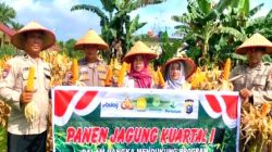 Panen Jagung Kuartal I 2026, Polsek TPTM Dukung Program Ketahanan Pangan Nasional