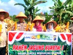 Panen Jagung Kuartal I 2026, Polsek TPTM Dukung Program Ketahanan Pangan Nasional