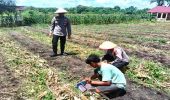 Polsek TPTM Tanam Jagung 0,25 Hektare untuk Dukung Ketahanan Pangan