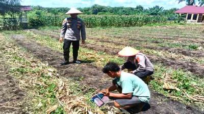 Polsek TPTM Tanam Jagung 0,25 Hektare untuk Dukung Ketahanan Pangan