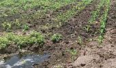 Polsek TPTM Cek Pertumbuhan Jagung di Kepenghuluan Mesah, Sejumlah Lahan Terdampak Banjir