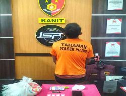 Polsek Pujud Bongkar Dugaan Peredaran Sabu 5,35 Gram di Rohil, Seorang Pengedar Diamankan