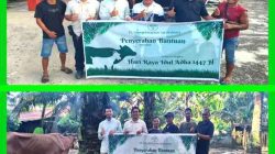 PKS PT SIA Salurkan Dua Ekor Sapi Kurban untuk Warga Bahtera Makmur