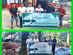 PKS PT SIA Salurkan Dua Ekor Sapi Kurban untuk Warga Bahtera Makmur