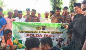 Kapolda Riau dan Kapolres Rohil Salurkan Tiga Sapi Kurban untuk Warga Panipahan dan Rantau Kopar