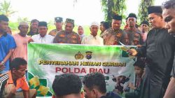 Kapolda Riau dan Kapolres Rohil Salurkan Tiga Sapi Kurban untuk Warga Panipahan dan Rantau Kopar