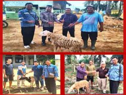 Sambut Idul Adha 1447 H, KSO_ESDM dan BRE Salurkan Hewan Kurban di Rokan Hilir