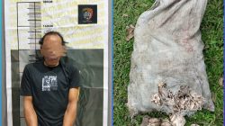 UNGKAP KASUS PENCURIAN GETAH KARET, POLSEK RAMBANG AMANKAN PELAKU SETELAH DIKEPUNG WARGA*