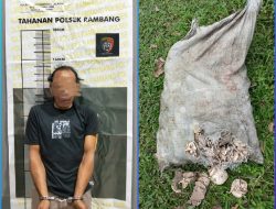 UNGKAP KASUS PENCURIAN GETAH KARET, POLSEK RAMBANG AMANKAN PELAKU SETELAH DIKEPUNG WARGA*