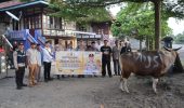 Wujud Kepedulian Jelang Iduladha, Kapolda Sumsel Salurkan Sapi Kurban untuk Warga Desa Tanjung Terang
