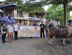 Wujud Kepedulian Jelang Iduladha, Kapolda Sumsel Salurkan Sapi Kurban untuk Warga Desa Tanjung Terang